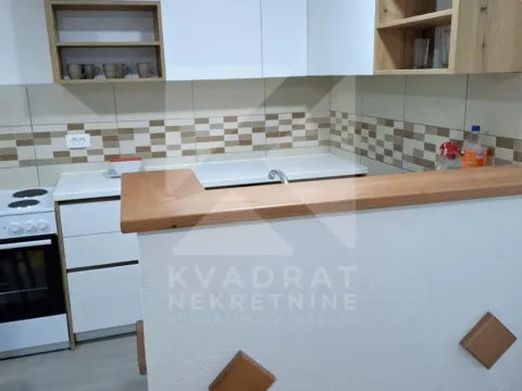 Izdavanje, dvosoban stan, 50m², Masline, Podgorica - image 3