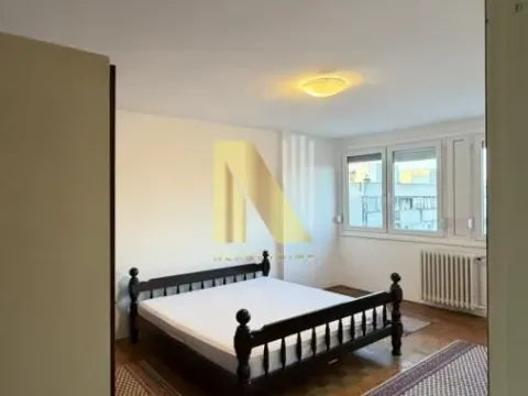 Izdavanje, dvosoban stan, 61m², Liman 2, Novi Sad Sve Podlokacije - image 3