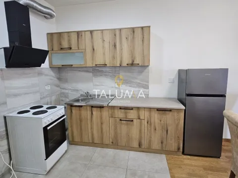 Izdavanje, jednosoban stan, 45m², Stari Aerodrom, Podgorica - image 4