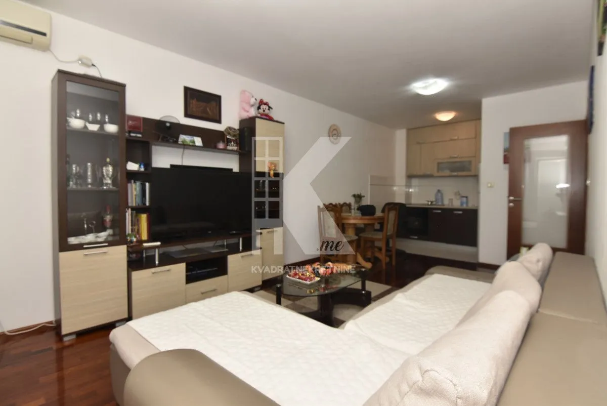 Izdavanje, jednosoban stan, 46m², Stari Aerodrom, Podgorica