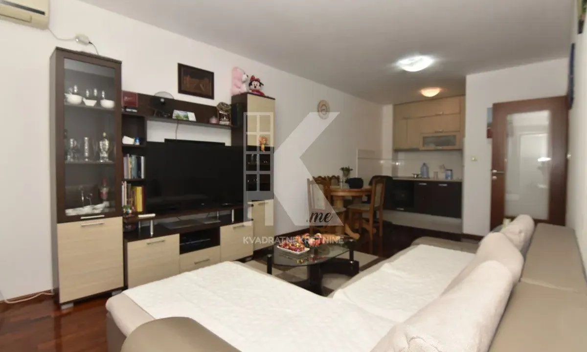 Izdavanje, jednosoban stan, 46m², Stari Aerodrom, Podgorica