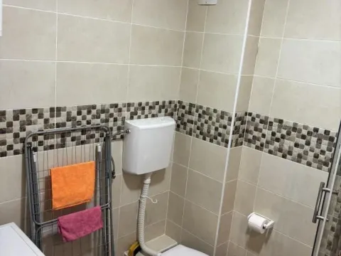 Izdavanje, jednosoban stan, 42m², Altina, Beograd - image 10