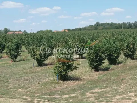 Sale, land lot, 63000m², Centar, Ub - image 13