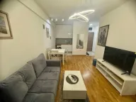 Izdavanje, jednosoban stan, 40m², Zabjelo, Podgorica - image 6