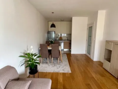 Izdavanje, jednosoban stan, 49m², Central Point, Podgorica - image 6