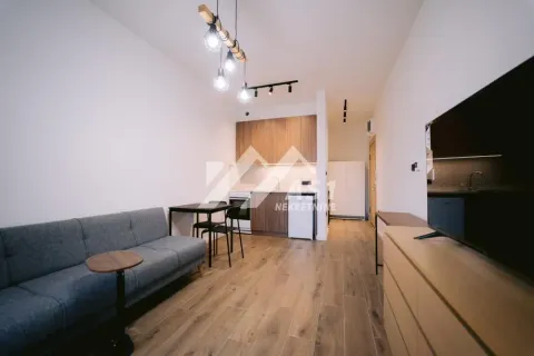 Stan-na-dan, jednosoban stan, 31m², Petrovaradin, Novi Sad - image 1