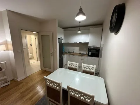 Rent, one bedroom apartment, 50m², Central Point, Podgorica - image 5