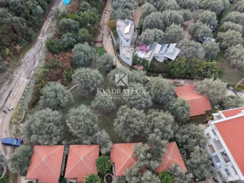 Pogled iz vazduha na imanje puno stabala i okolne objekte. - image 7