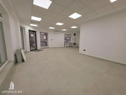 Rent, office space, 103m², Denkova Basta, Zvezdara Sve Podlokacije - image 6