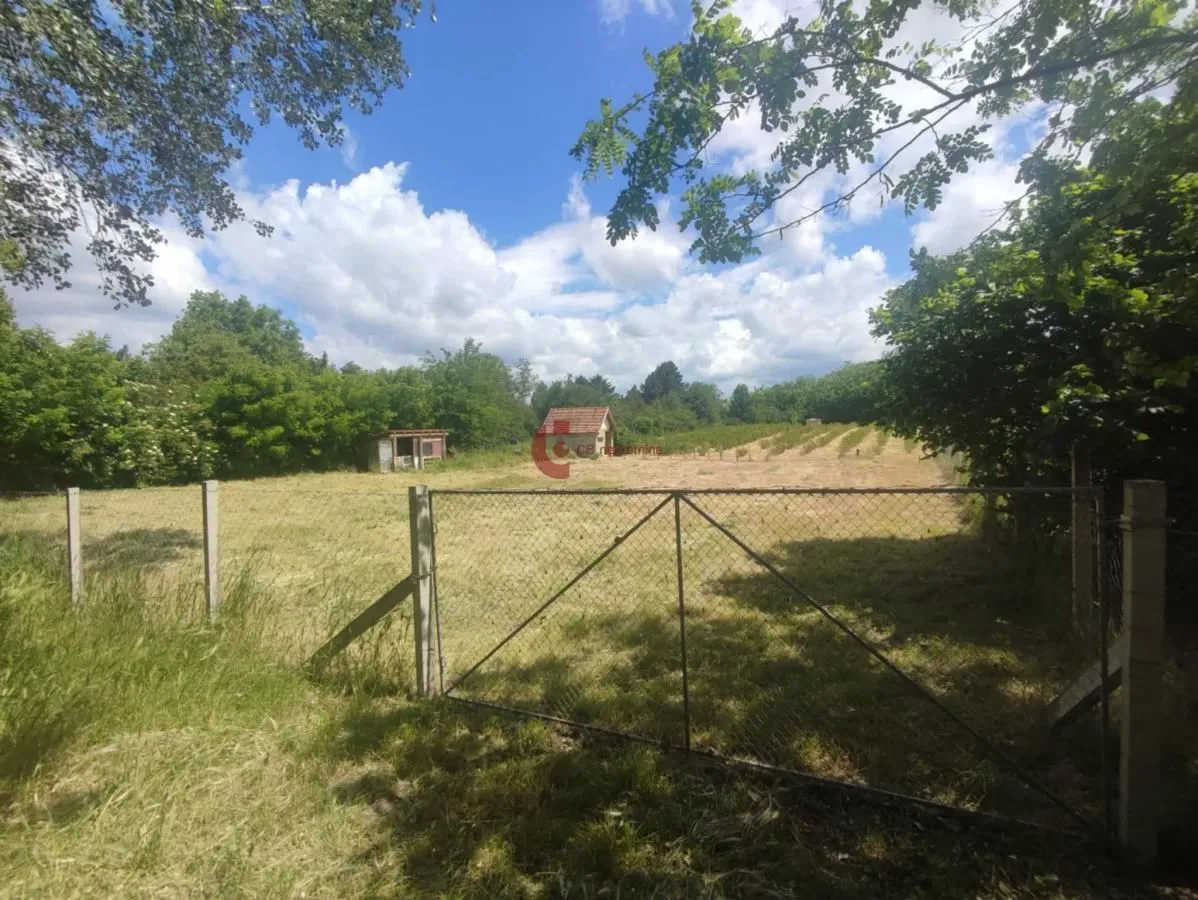 Prodaja, plac, 2100m², Peščara, Subotica