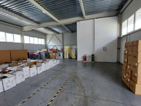 Izdavanje, poslovni prostor, 1200m², Bački Petrovac, Novi Sad - image 6