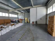 Izdavanje, poslovni prostor, 1200m², Bački Petrovac, Novi Sad - image 6