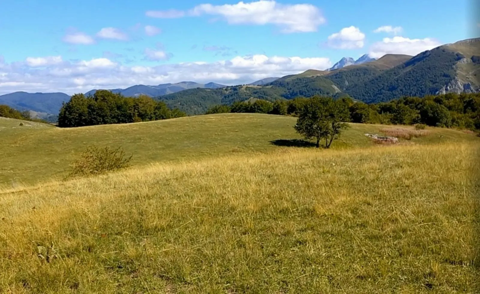 Prodaja, plac, 400000m², Podgorica, Crna Gora