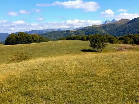 Prodaja, plac, 400000m², Podgorica, Crna Gora - image 6