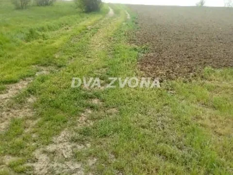 Sale, land lot, 50m², Čortanovci, Inđija