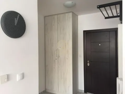 Izdavanje, dvosoban stan, 45m², Centar, Novi Sad - image 7