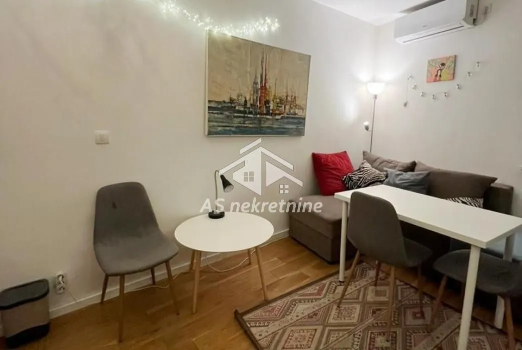 Izdavanje, dvosoban stan, 33m², Vračar Sve Podlokacije, Beograd