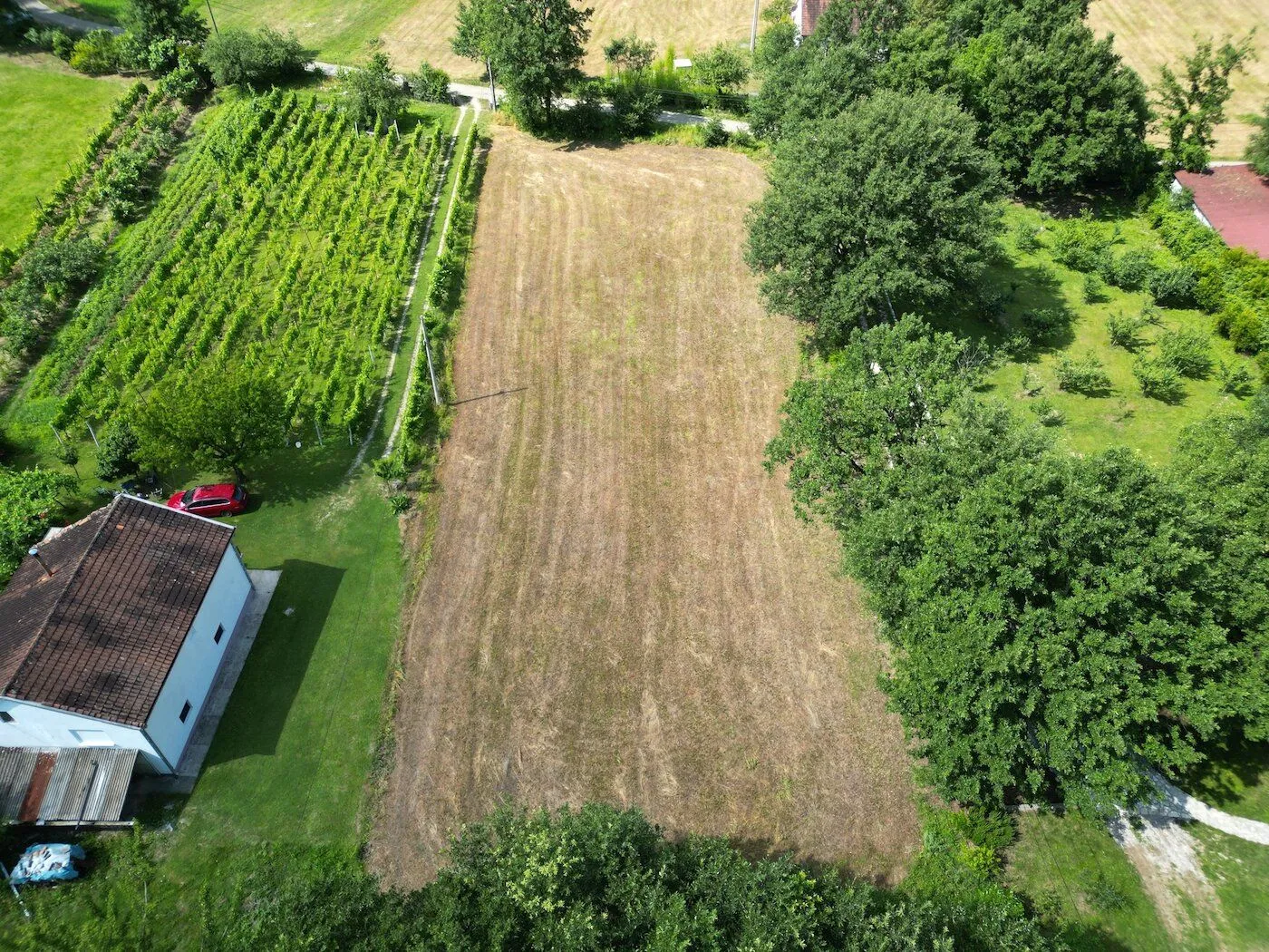 Prodaja, plac, 3775m², Frutak, Danilovgrad