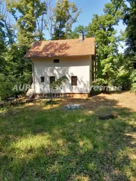 Pogled na zadnju stranu kuće okružene šumom. - image 7