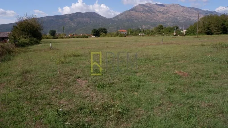 Prodaja, plac, 3000m², Grlić, Danilovgrad
