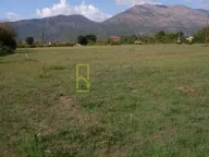 Prodaja, plac, 3000m², Grlić, Danilovgrad - image 3