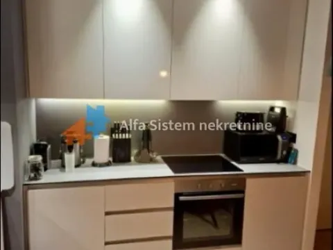 Izdavanje, dvosoban stan, 51m², Savski Venac, Beograd - image 5