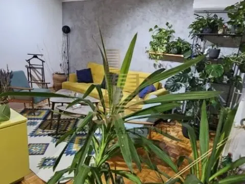 Prodaja, dvosoban stan, 52m², Centar, Novi Sad - image 18