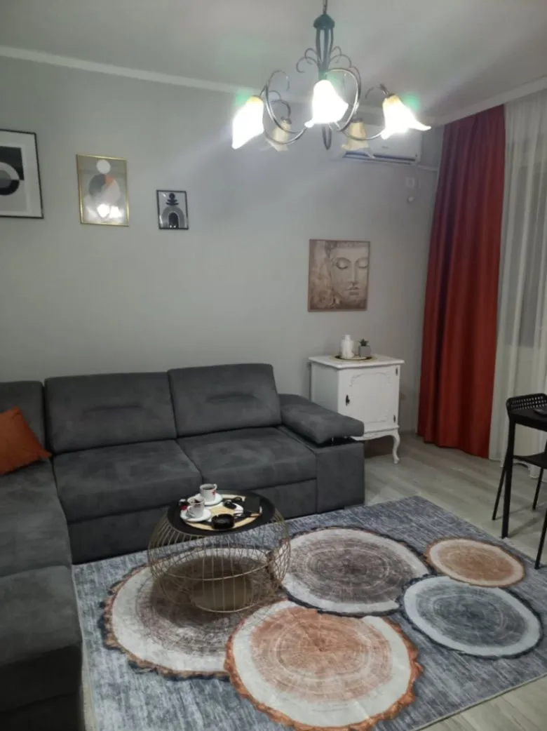 Rent, one bedroom apartment, 47m², Centar, Podgorica