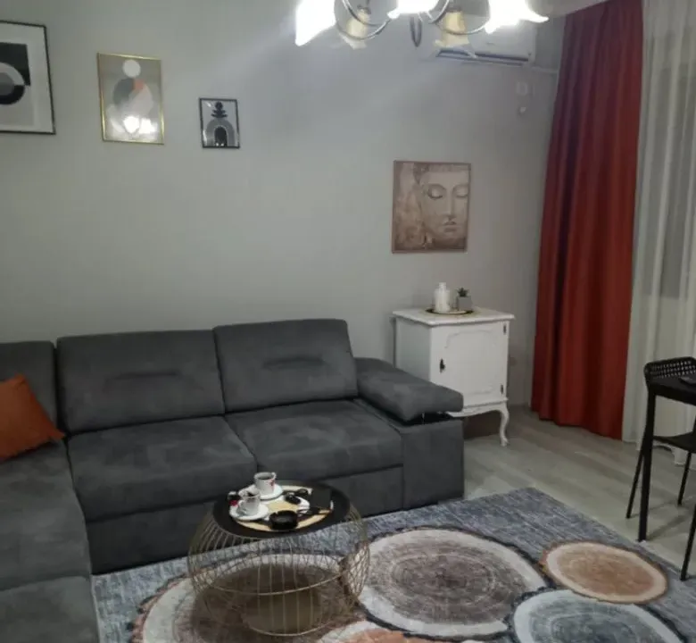 Izdavanje, jednosoban stan, 47m², Centar, Podgorica