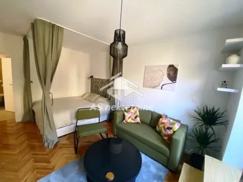 Rent, one bedroom apartment, 40m², Vračar Sve Podlokacije, Beograd - image 3