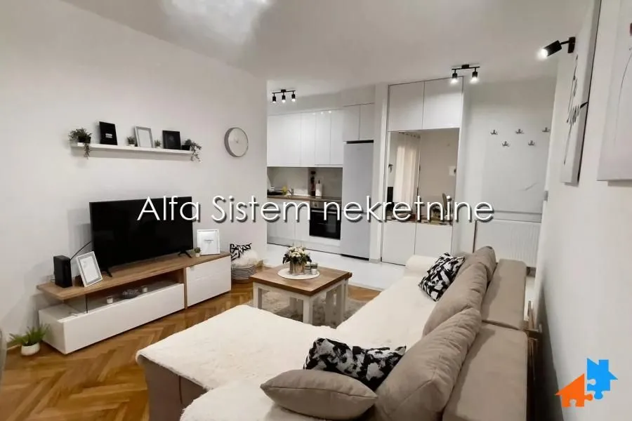 Izdavanje, dvosoban stan, 47m², Vračar Sve Podlokacije, Beograd