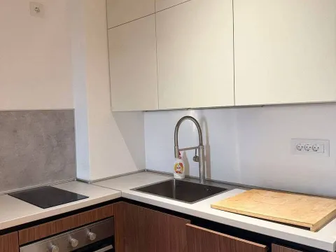 Izdavanje, jednosoban stan, 48m², Bečići, Budva - image 5