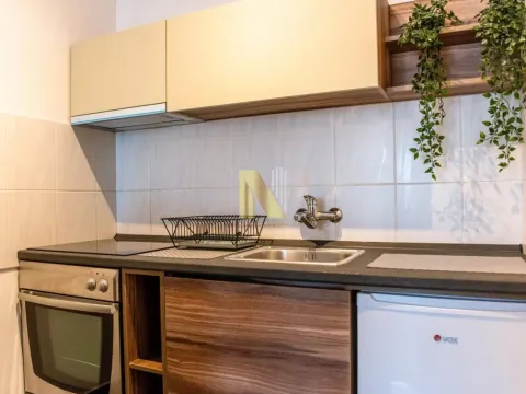 Rent, one bedroom apartment, 36m², Grbavica, Novi Sad Sve Podlokacije - image 4