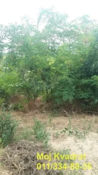 Sale, land lot, 974m², Grocka, Beograd - image 3
