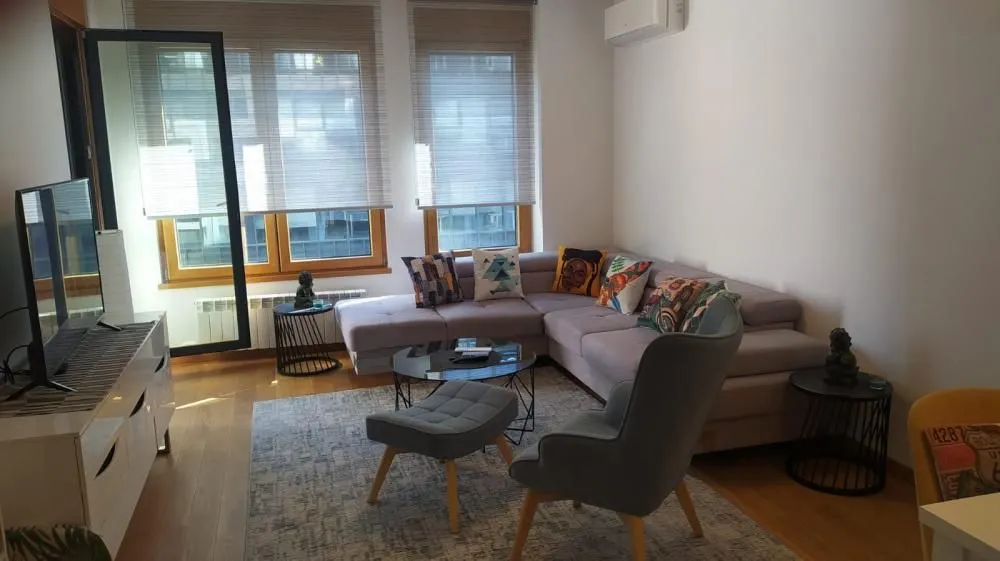 Izdavanje, dvosoban stan, 55m², Novi Beograd Blok 65, Novi Beograd Sve Podlokacije