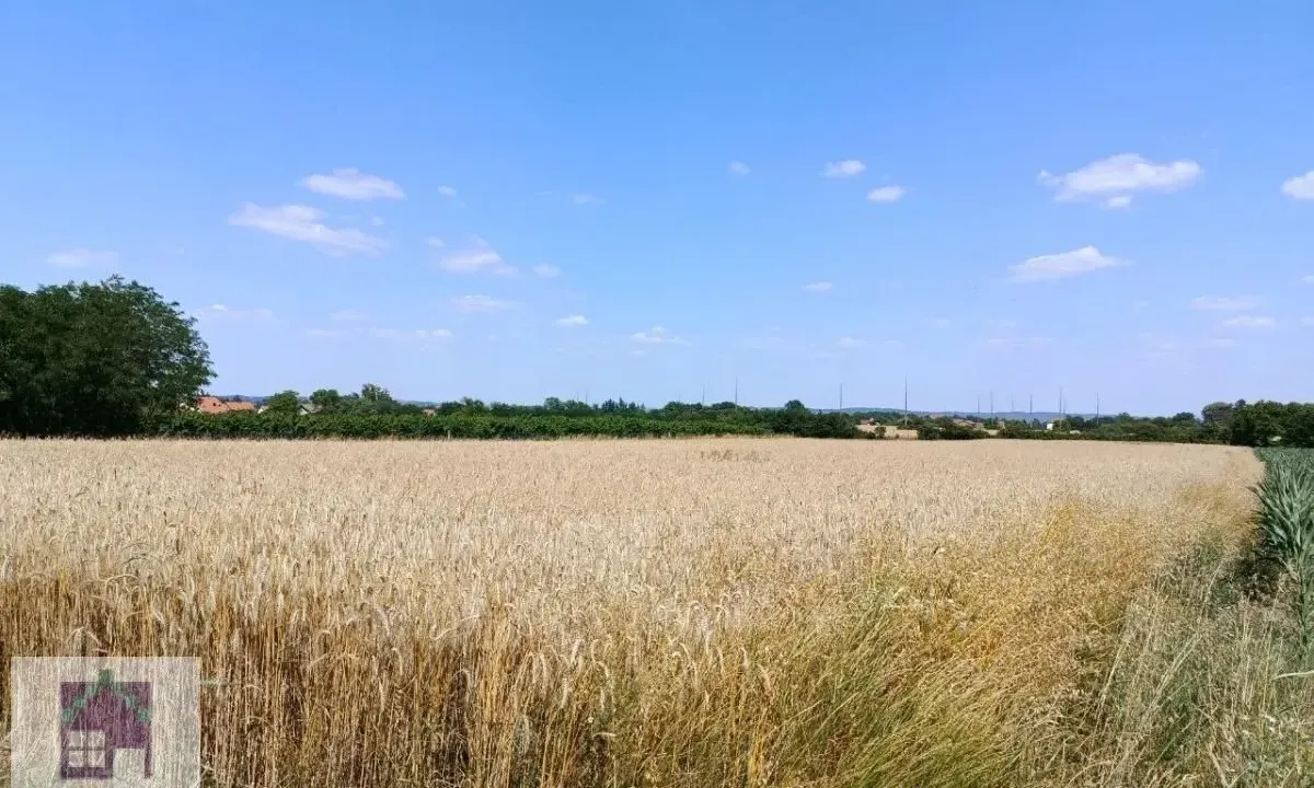Prodaja, plac, 7500m², Stubline, Obrenovac