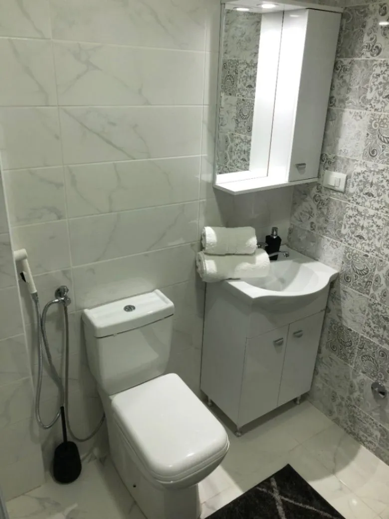 Small bathroom with a sink, toilet, and mirrored cabinet.