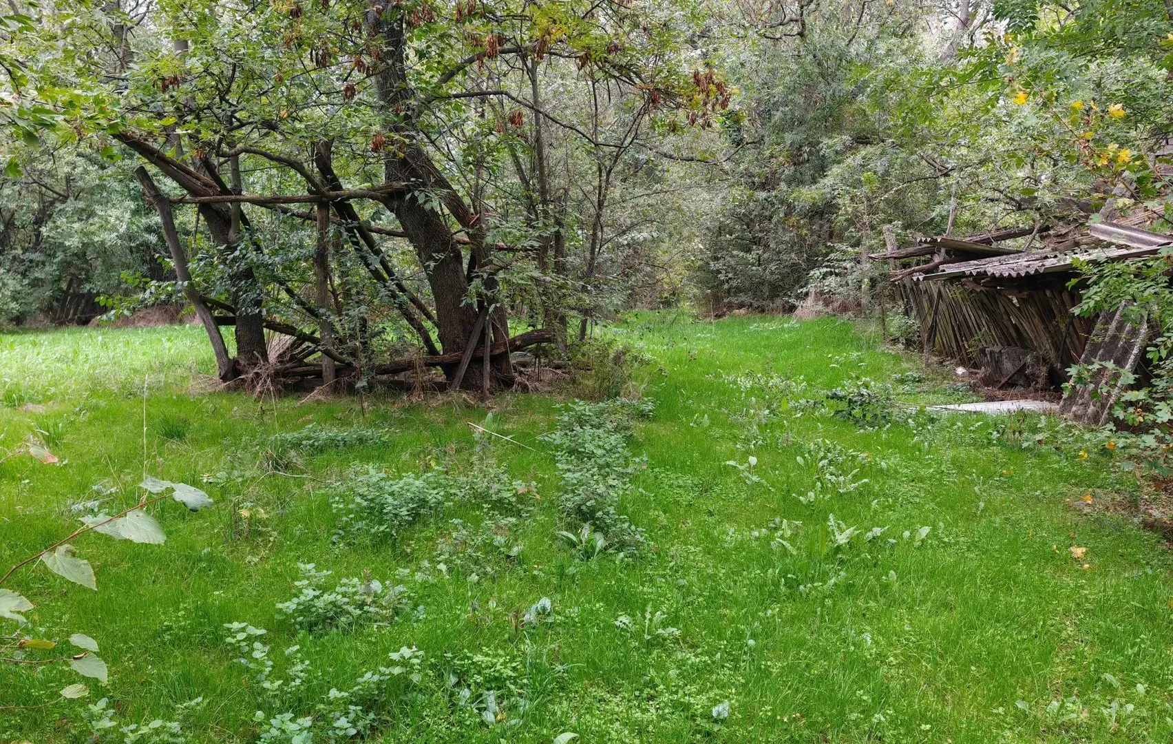 Sale, land lot, 33900m², Velika Ivanča, Mladenovac