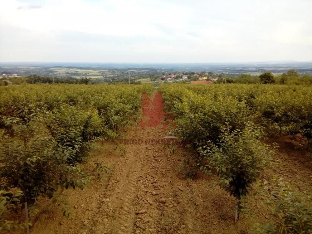 Prodaja, plac, 13700m², Koraćica, Mladenovac