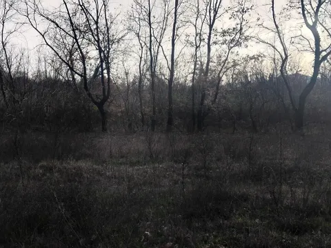 Prodaja, plac, 2400m², Dajbabe, Podgorica - image 3