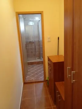 Rent, one bedroom apartment, 50m², Donja Lastva, Tivat - image 13