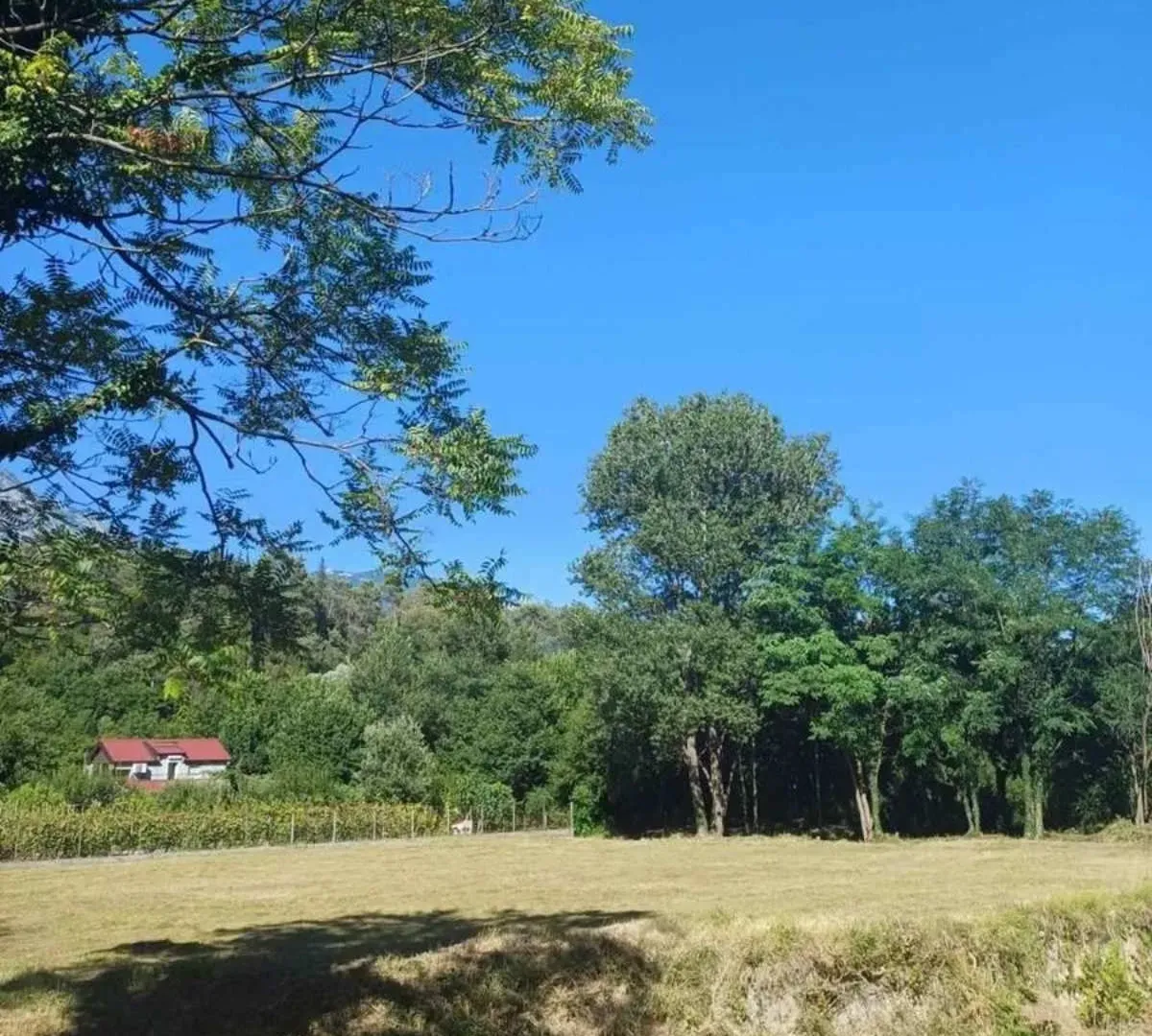 Prodaja, plac, 1167m², Sutorina, Herceg Novi