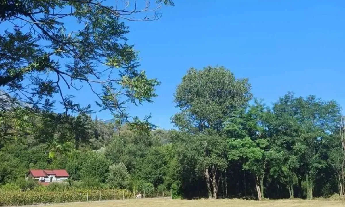 Sale, land lot, 1167m², Sutorina, Herceg Novi