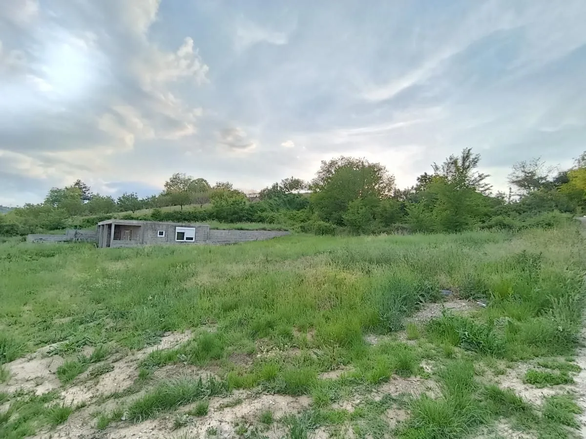 Prodaja, plac, 1000m², Alibegovac, Petrovaradin