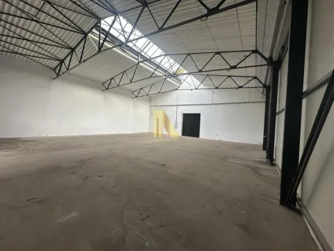 Rent, office space, 210m², Klisa, Novi Sad Sve Podlokacije - image 2