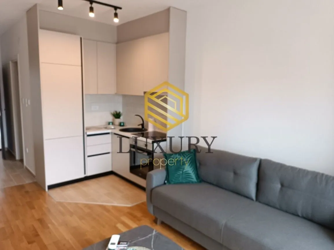 Izdavanje, garsonjera, 30m², Zabjelo, Podgorica