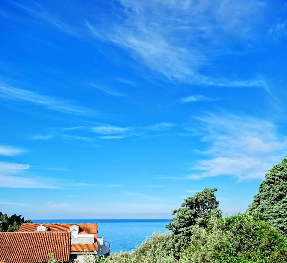 View of the sea and surrounding greenery from the property.