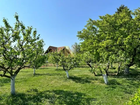 Sale, house, 75m², Banja Vrdnik, Irig - image 9