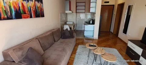 Rent, studio apartment, 30m², Cvetkova Pijaca, Zvezdara Sve Podlokacije - image 3