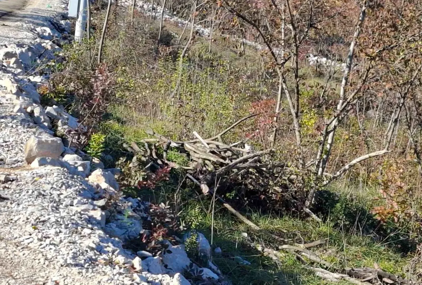 Prodaja, plac, 5000m², Bandići, Danilovgrad